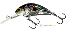 Salmo Hornet Black Silver Shad Fl 6cm